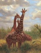 Gerald art print