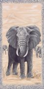 Diana Martin art print