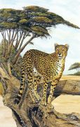 Charles L. Berry art print