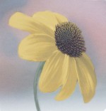 Judy Mandolf art print