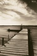 Alexis De Vilar art print