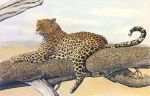 Charles L. Berry art print