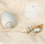 Judy Mandolf art print