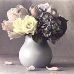 Dianne Poinski art print