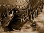 Robert Dawson art print