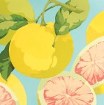 Martha Negley art print