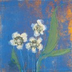Maeve Harris art print
