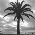 Catal�-Roca art print