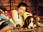 Jim Daly art print