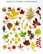 Atelier art print