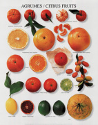 Atelier art print
