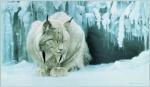 Robert Bateman art print