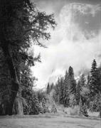 Ansel Adams art print