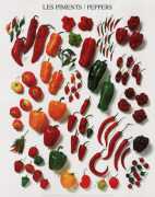 Atelier art print