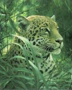 Robert Bateman art print