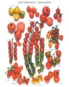 Roger Phillips art print