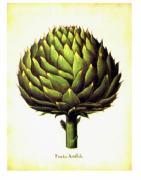 Basilius Besler art print