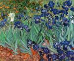 Vincent Van Gogh art print