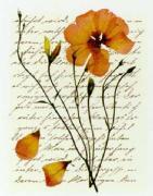 Kollenbaum art print