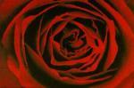 Ernst Haas art print