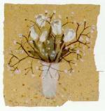 Clare Sprawson art print