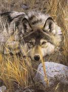 Carl Brenders art print