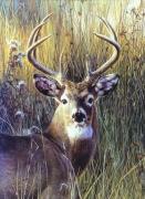 Carl Brenders art print