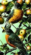 Carl Brenders art print