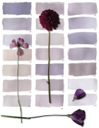 Camille Soulayrol & Edouard Chauvin art print