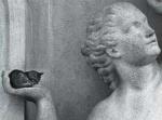 Risler art print