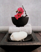 Am�lie Vuillon art print