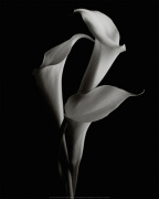 Cedric Porchez art print