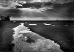 Olivier M�riel art print