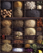 Atelier art print