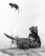 Rex Interstock art print