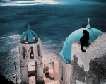 Hans Silvester art print