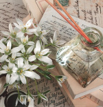 Catherine Beyler art print