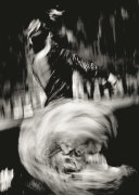 Flamenco art print