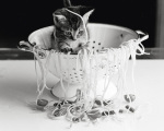 Rex Interstock art print