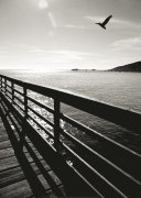 Wooden Walkway, Avila Beach, USA art print