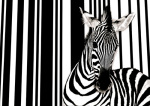 Flach art print
