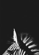 Flach art print