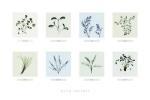 Nina Farrell art print