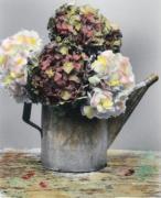 Eleanor Abraham art print