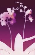 Nina Farrell art print
