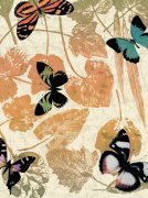 Luisa Tosini art print