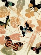 Luisa Tosini art print