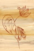 Shams, Saba Rasheed art print