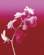 Nina Farrell art print
