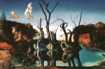 Salvador Dali art print